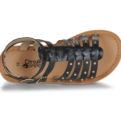 Citrouille et Compagnie - GLYDA