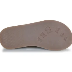 Citrouille et Compagnie - GLYDA