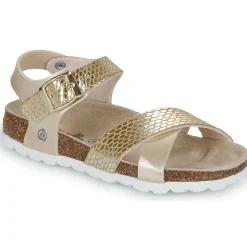 Citrouille et Compagnie - MARLYNE