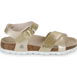 Citrouille et Compagnie - MARLYNE