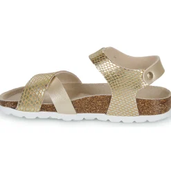 Citrouille et Compagnie - MARLYNE