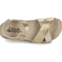 Citrouille et Compagnie - MARLYNE