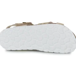 Citrouille et Compagnie - MARLYNE