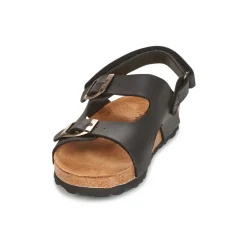 Citrouille et Compagnie - KELATU