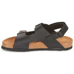 Citrouille et Compagnie - KELATU