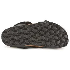 Citrouille et Compagnie - KELATU