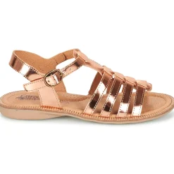 Citrouille et Compagnie - GROUFLA