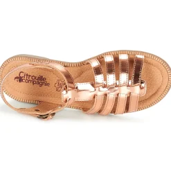 Citrouille et Compagnie - GROUFLA