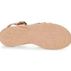 Citrouille et Compagnie - GROUFLA