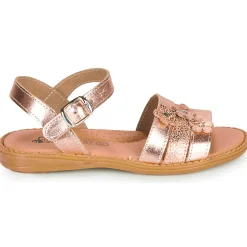 Citrouille et Compagnie - KATAGUE