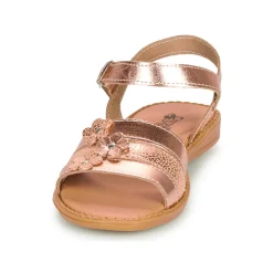 Citrouille et Compagnie - KATAGUE