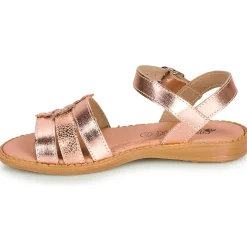 Citrouille et Compagnie - KATAGUE