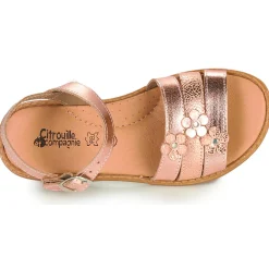 Citrouille et Compagnie - KATAGUE