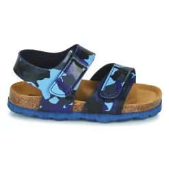 Citrouille et Compagnie - BELLI JOE