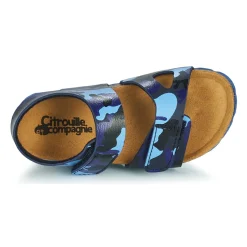 Citrouille et Compagnie - BELLI JOE