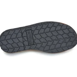 Citrouille et Compagnie - PAILETTE