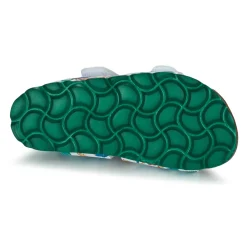 Citrouille et Compagnie - BELLI JOE