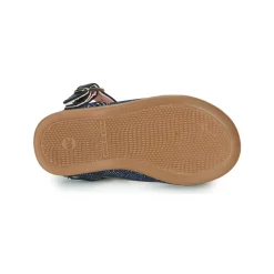 Citrouille et Compagnie - JARITO