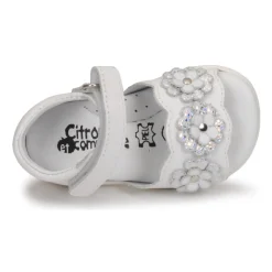 Citrouille et Compagnie - YOYO