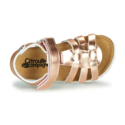 Citrouille et Compagnie - MALIA