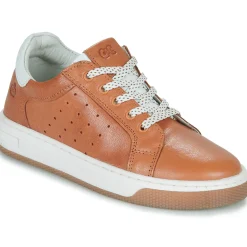 Citrouille et Compagnie - JISTOL