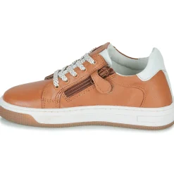 Citrouille et Compagnie - JISTOL