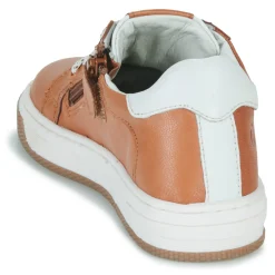 Citrouille et Compagnie - JISTOL