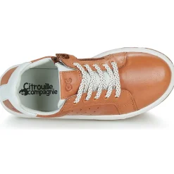 Citrouille et Compagnie - JISTOL