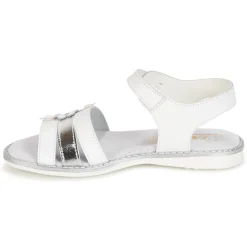 Citrouille et Compagnie - KATAGUE