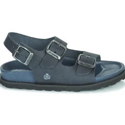 Citrouille et Compagnie - GLORIUS