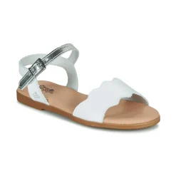 Citrouille et Compagnie - OBILO