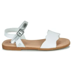 Citrouille et Compagnie - OBILO