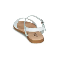 Citrouille et Compagnie - OBILO