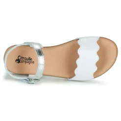 Citrouille et Compagnie - OBILO