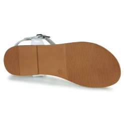 Citrouille et Compagnie - OBILO