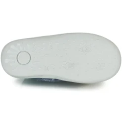 Citrouille et Compagnie - LOKO