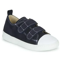 Citrouille et Compagnie - NADIR