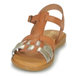 Citrouille et Compagnie - ROLUI