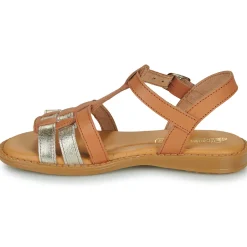 Citrouille et Compagnie - ROLUI