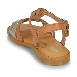 Citrouille et Compagnie - ROLUI