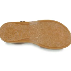 Citrouille et Compagnie - ROLUI