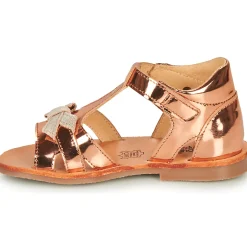 Citrouille et Compagnie - MINIMOME