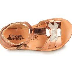 Citrouille et Compagnie - MINIMOME