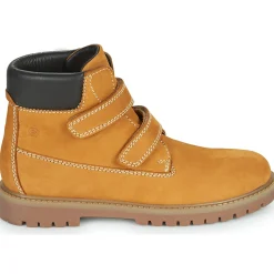 Citrouille et Compagnie - PAXA