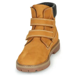 Citrouille et Compagnie - PAXA