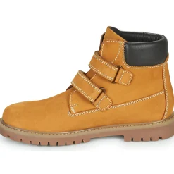 Citrouille et Compagnie - PAXA