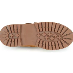 Citrouille et Compagnie - PAXA