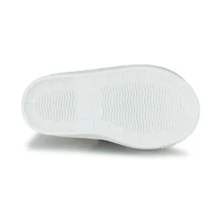 Citrouille et Compagnie - MY LOVELY TRAINERS