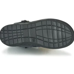 Citrouille et Compagnie - LOMINE