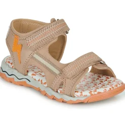 Citrouille et Compagnie - WAYO